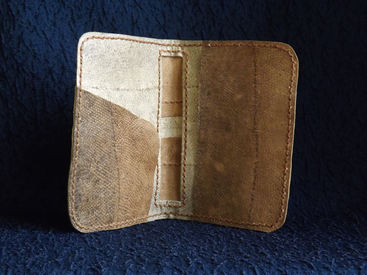 Half Fold - Fish Leather Wallet