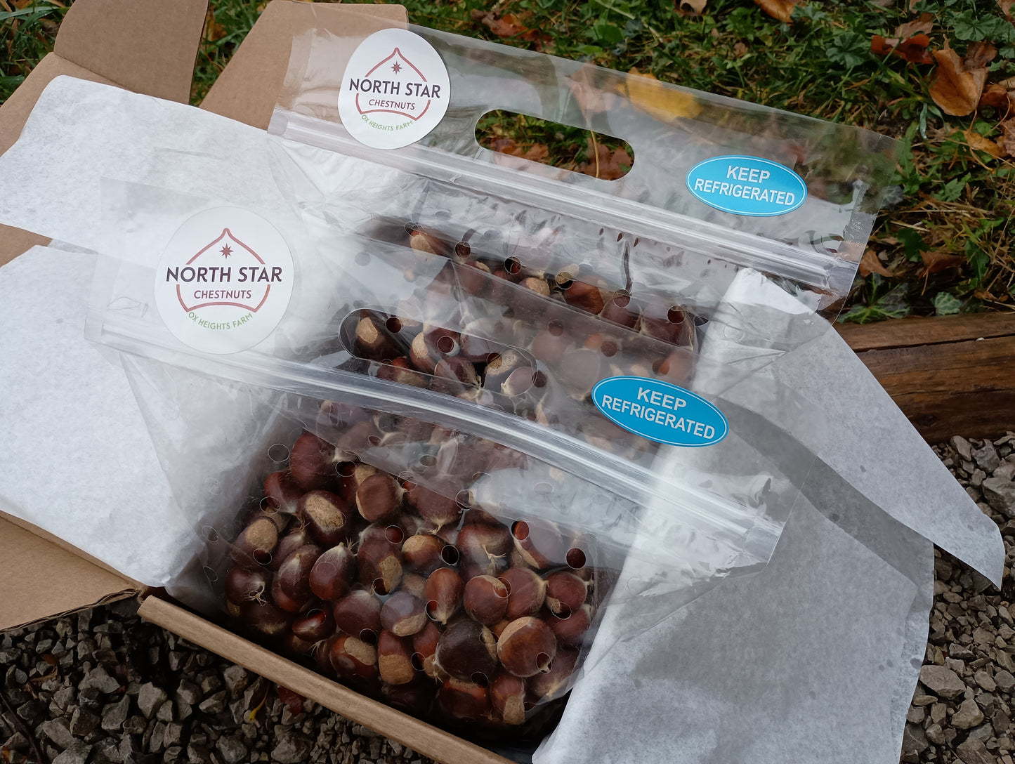 Chestnuts - Chinese - 2025 - Free Shipping