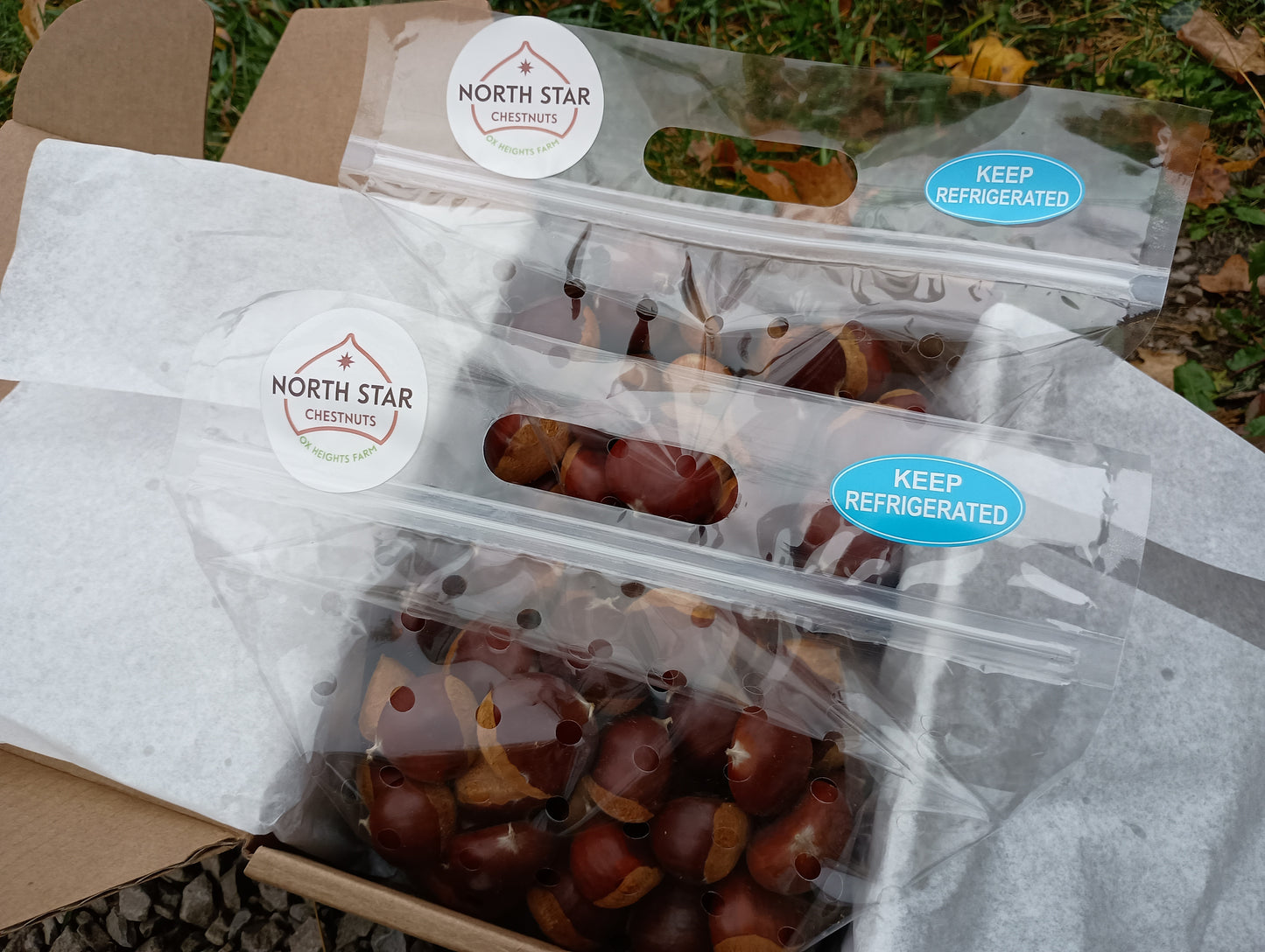 Chestnuts - European - 2025 - Free Shipping