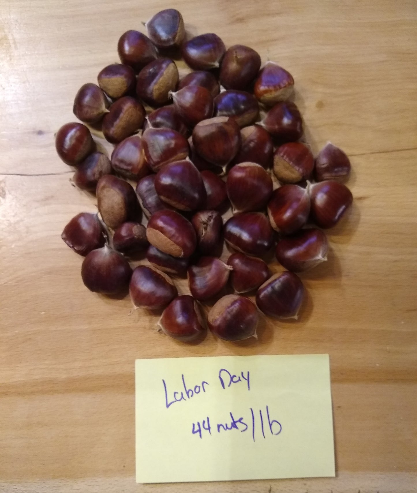 Seed Chestnuts - Choose the Cultivar