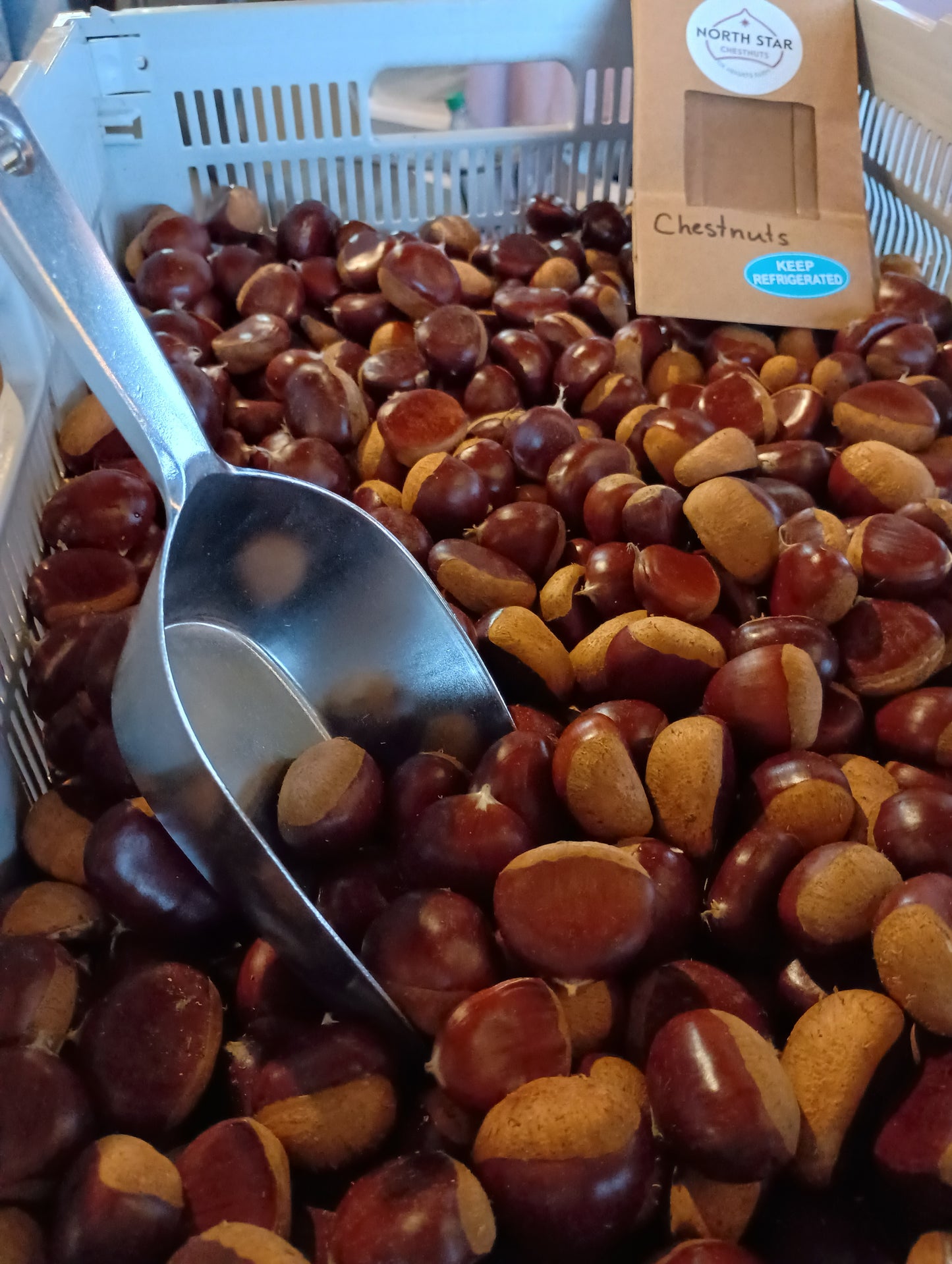 Chestnuts - European - 2025 - Free Shipping