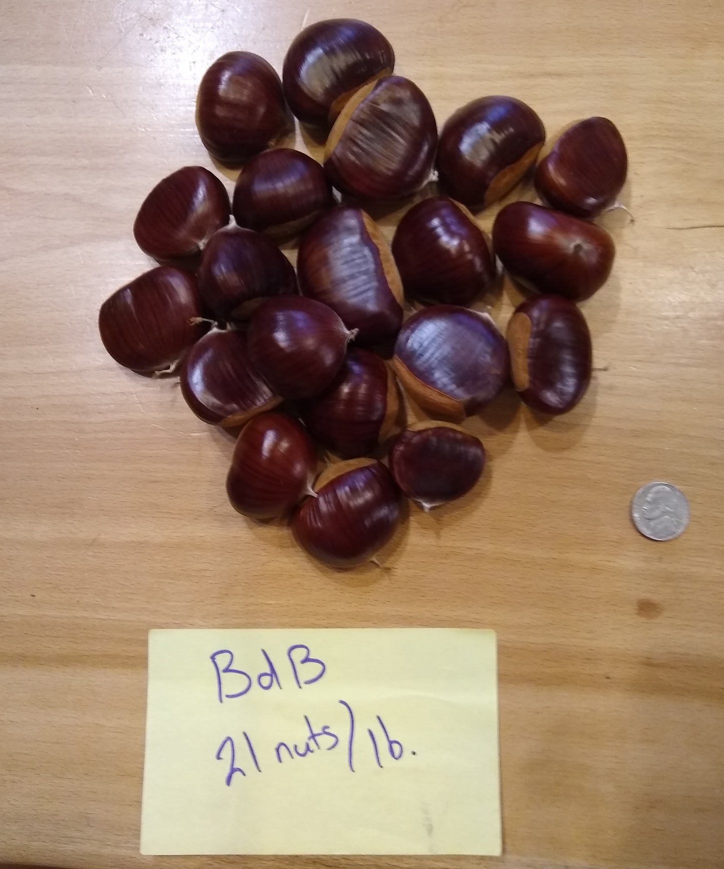 Seed Chestnuts - Choose the Cultivar