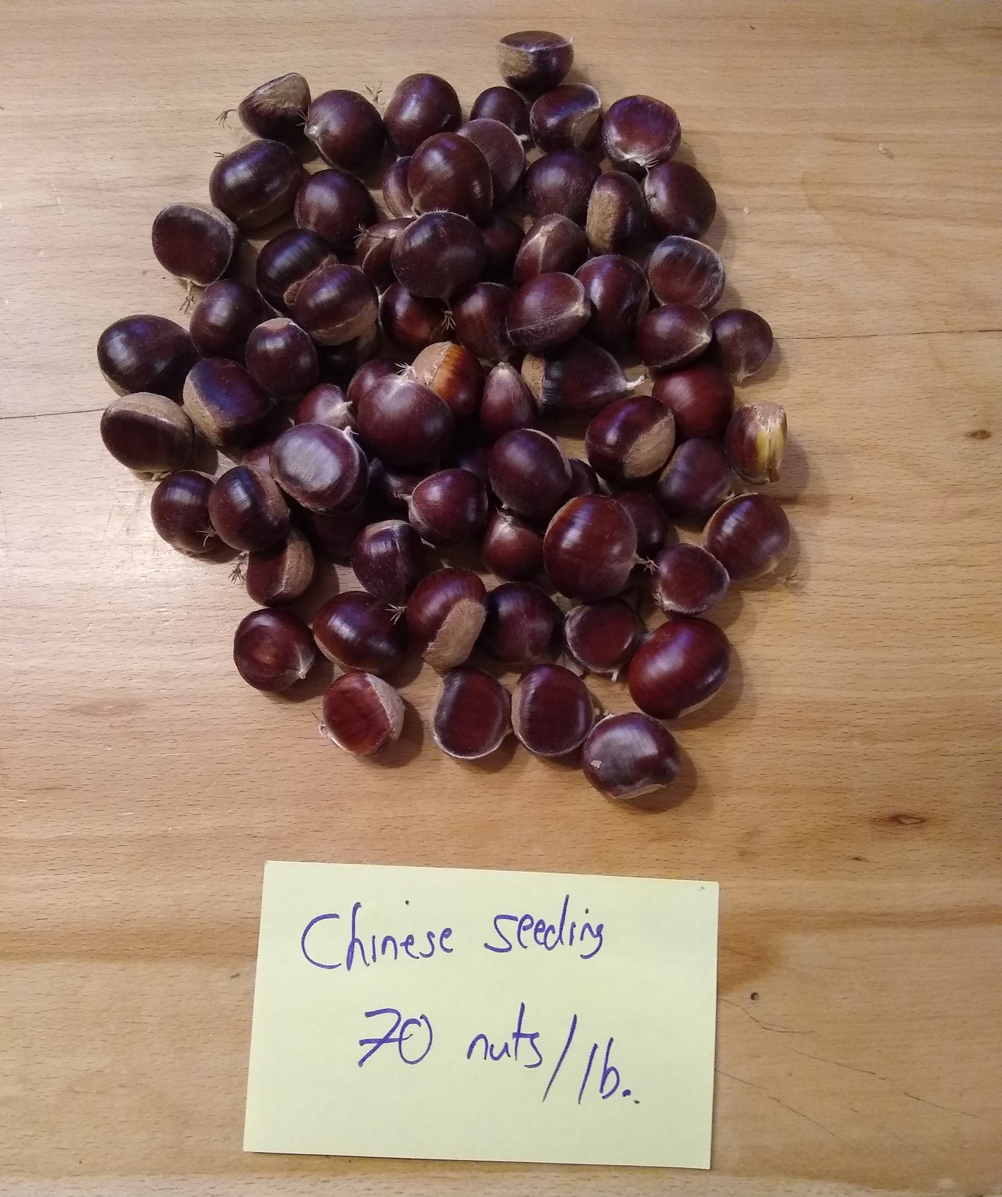 Seed Chestnuts - Choose the Cultivar